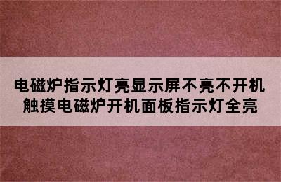 电磁炉指示灯亮显示屏不亮不开机 触摸电磁炉开机面板指示灯全亮